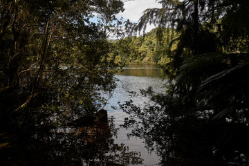 Scenes from Corinna and the Tarkine Ranges, Tasmania, Australia