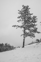 neve montanhas