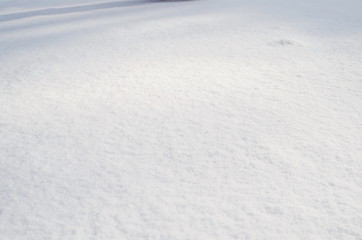 pure loose snow texture. sparkling pure snow background