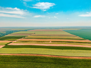 Obraz premium Agriculture fields