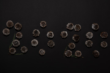 New Year's Day, 2020, cones on black background