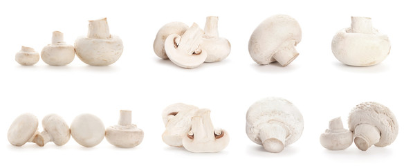 Fresh champignon mushrooms on white background