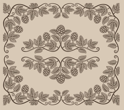 Set of vintage design elements of hop branches and borders