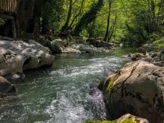 Naklejka na ściany i meble River water in forest, rocks, natural green background 
