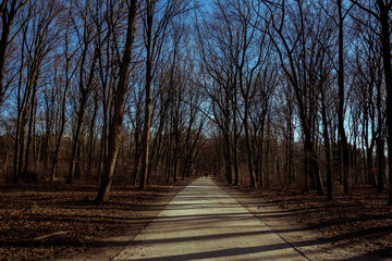 Tiergarten Berlin