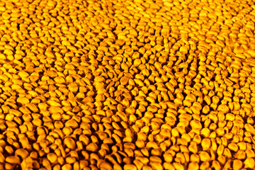 Abstract golden orange background with texture of small round stones