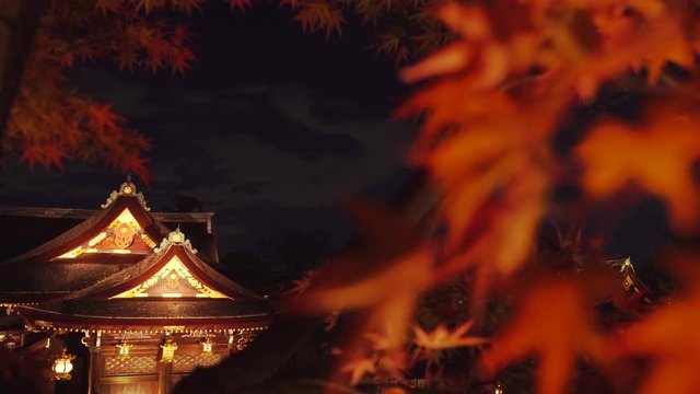 [4K] 日本の秋 京都　北野天満宮 秋の紅葉ライトアップ