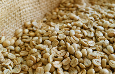 Heap of unroasted coffee beans in the burlap bag