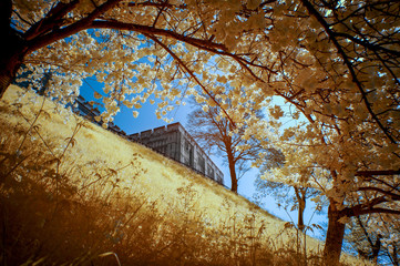 Norwich Castle Museum