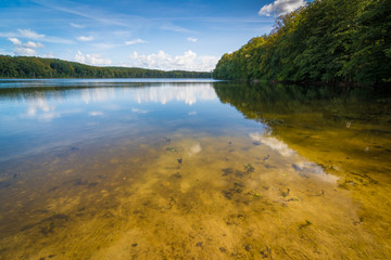 Obraz premium Sommer am See - Wolgastsee auf Usedom