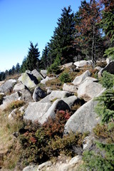 der Brocken im Harz, zum Gipfel