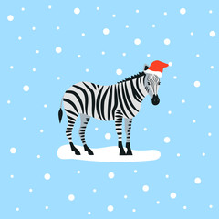 Fototapeta na wymiar Cartoon style icon of zebra in Santa Claus hat and snowflakes around. Cute character for a New Year and Christmas card.
