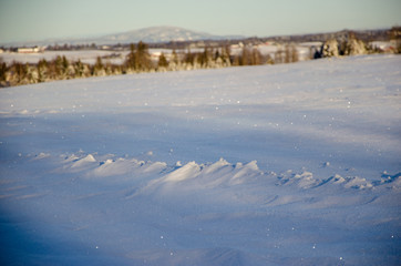 Fototapeta na wymiar Snowy landscape