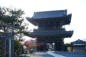 Obraz premium Seiryoji Temple Arashiyama