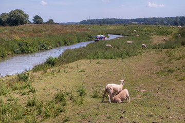 Boat trip from Bodiam East Sussex