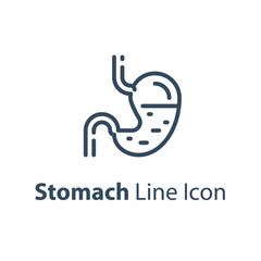 Fototapeta premium Human internal organ, stomach diagram, health care concept, vector line icon