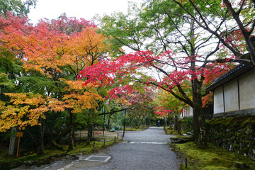 Nisonin Temple Arashiyama
