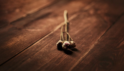Dried flowers over wooden floor.