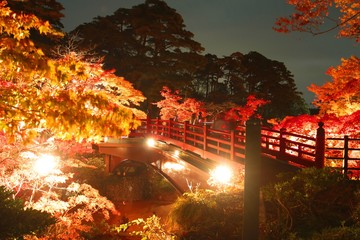 秋のもみじ谷の紅葉