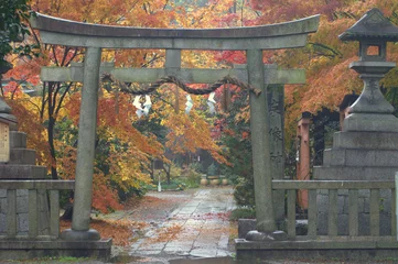 Gordijnen Stone torii gate in Autumn/Fall © Peter