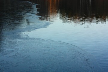 Beautiful landscape of trees and river in the forest