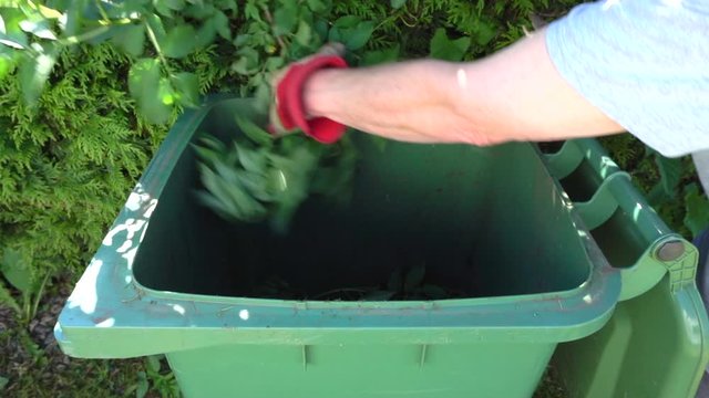 Slow motion close shot of a man&rsquo;s hands, wearing protective gloves, trimming a shrub and dropping the cuttings into a wheely bin.
