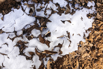 Broken ice on a country dirt road. Freezing puddle and fallen dried leaves. Abstract background