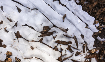 Broken ice on a country dirt road. Freezing puddle and fallen dried leaves. Abstract background