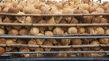 Transportation of raw coconut farmers for processing