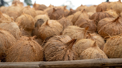 A lot of raw coconut