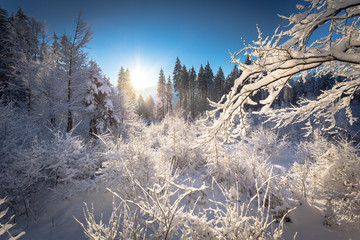 Christmas in Romania traditional landscape covered with snow
