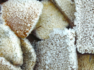 frost on pieces of discarded bread