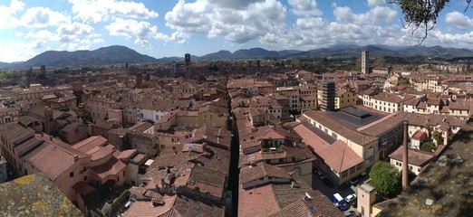 I tetti di Lucca 