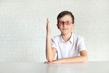 cute elementary schoolboy in classroom