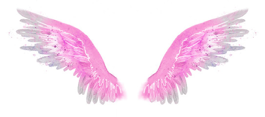 Fototapeta na wymiar beautiful magic watercolor pink wings, freedom and hapiness