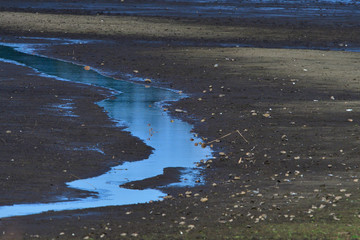 Der Tauerwiesenteich im Herbst
