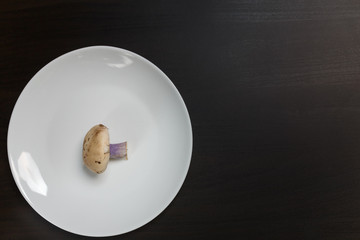One raw tricholoma mushroom on a white plate on black table. Not enought food or oversaturation concept. Diet, nutrition, healthy and unhealthy eating habits, overweight or underweight concept.