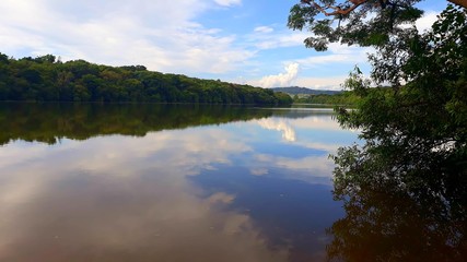 Obraz premium lake in the forest nature tree landscape