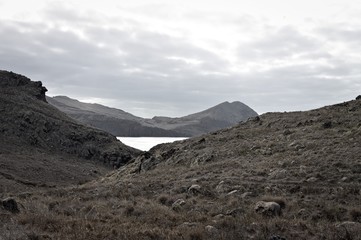 Panoramic view of the cliffs on the Atlantic Ocean. This is a trek path in Ponta de Sao Lourenco in Madeira Island (Madeira, Portugal, Europe)
