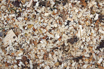 Sawdust on the the soil