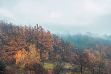 Fototapeta na wymiar Autumn landscape. Gloomy mood. Dark sky. Woods in the fog. Home alone in field. Orange and yellow trees. Beautiful fall nature. Sunrise behind the clouds.