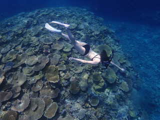 珊瑚の上を泳ぐビキニの女性