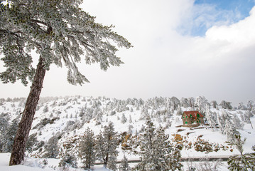 Winter Landscape, Troodos mountains Cyprus