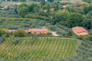 Naklejka premium Idyllic landscape with meadow filed at Tuscany area near Montepulciano, Italy, Europe
