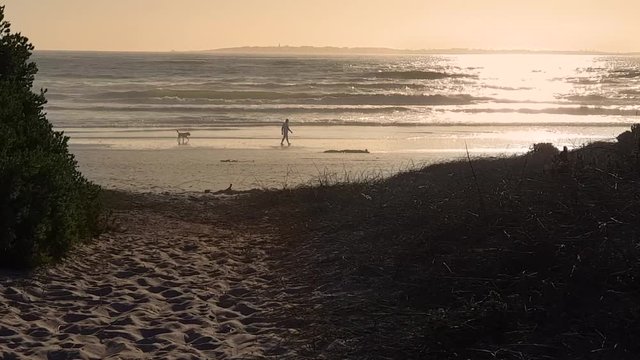 Peaceful solitude scene. Silhouettes of a man and his dog walking on shiny wet beach sand next to breaking waves during sunset summer afternoon. Robben Island in background. Sunlight on ocean waves.
