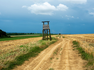 Arable land with hunting observation tower along sandy road with blue sky and clouds.