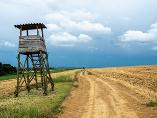Arable land with hunting observation tower along sandy road with blue sky and clouds.