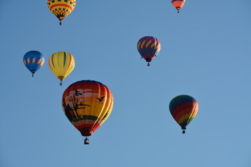 Hot Air Balloons