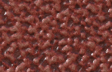 organic flesh meat brain 