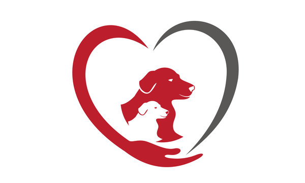 Dog heart clearance